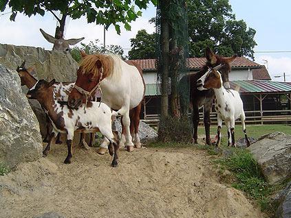 Готель La Ferme Des 4 Chenes Urt Екстер'єр фото